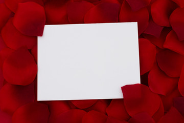 A blank card for your message