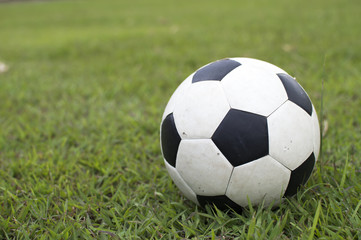 Fototapeta premium Soccer ball on green field