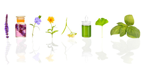 Collage of medicine bottles and herbs, isolated on white