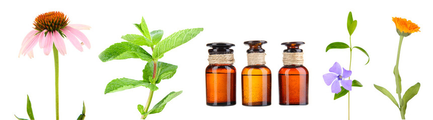 Collage of medicine bottles and herbs, isolated on white