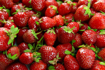 Ripe sweet strawberries close-up