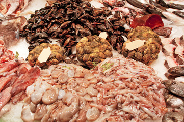 Fresh fish stall in the Boqueria market, Barcelona.