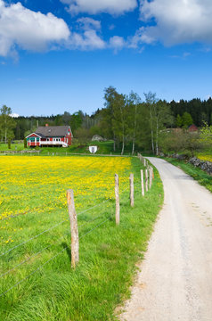Swedish farm road in May month