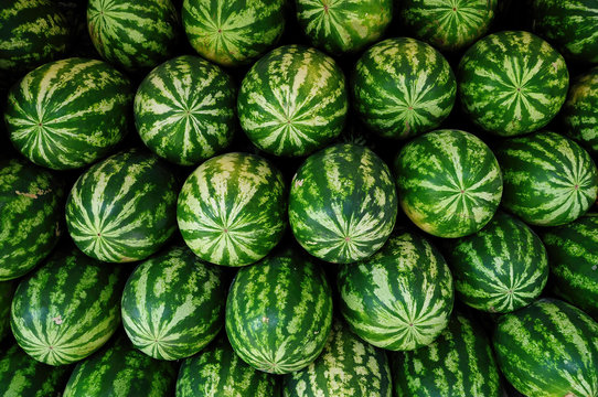 watermelon