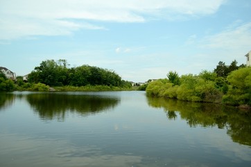 Fototapeta premium Reflection