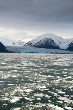 Chile - Bernardo O'Higgins National Park - Amalia Glacier