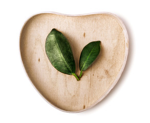 Green leaves in wooden heart-shaped box