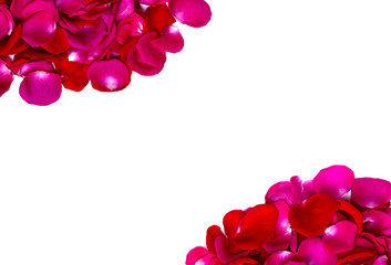 Rose petals background with a copy space