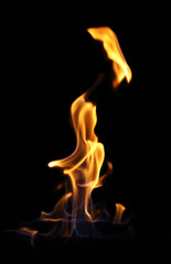 Fototapeta premium Flame tongues