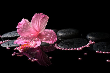 Fototapeta na wymiar Beautiful spa still life of pink hibiscus, drops and pearl beads