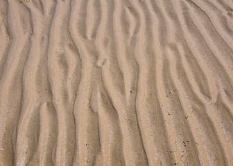 Wave line pattern in beach sand