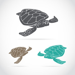 Fototapeta premium Vector image of an turtle