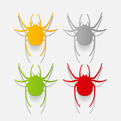 realistic design element: spider
