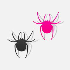 realistic design element: spider