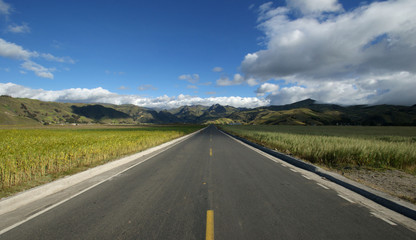 Cordillière Occidentale