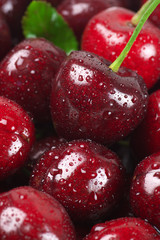 Wet cherries close-up