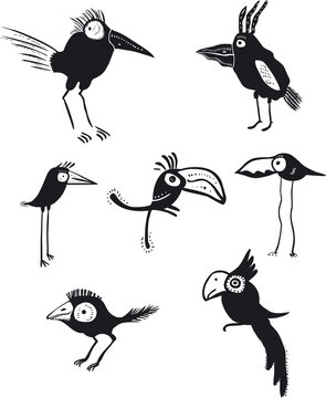 Funny birds