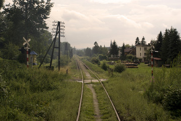 tory © Henryk Olszewski