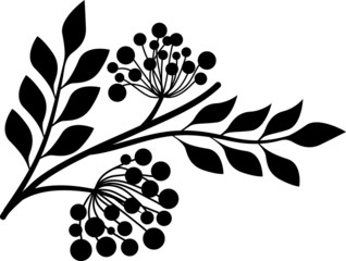 Mountain ash