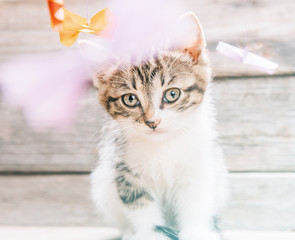 Four cute little kittens among origami paper cranes 