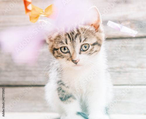 Four cute little kittens among origami paper cranes 