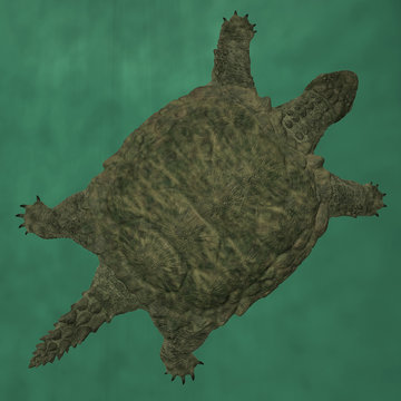 Proganochelys quenstedti