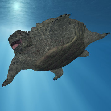 Proganochelys quenstedti