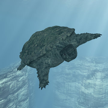 Proganochelys quenstedti