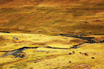 Quebrada Caliente in Cordiliera Huayhuash, Peru, South America