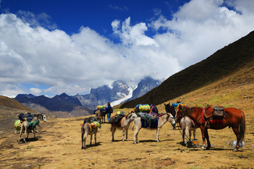 Fototapeta premium Cordiliera Huayhuash, Peru, South America