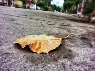 Alone leave