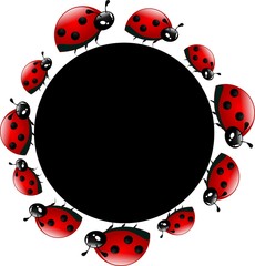 Ladybugs circle