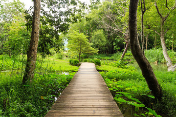 Fototapeta premium bridge across the green garden