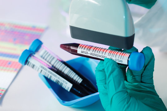 Biological culture