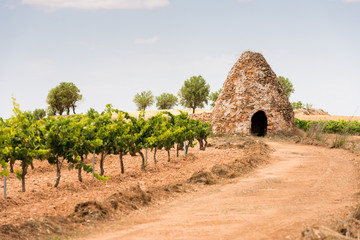 Refugio Tradicional De Pastores Y Agricultores. España