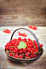 red currants
