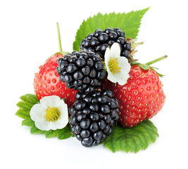 Strawberry and blackberry fruits