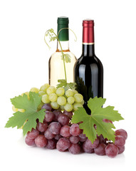 Obraz na płótnie Canvas Two wine bottles and grapes