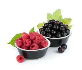 Black currant and raspberry