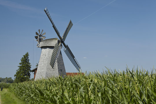 Windm&uuml;hle Bierde (Petershagen)