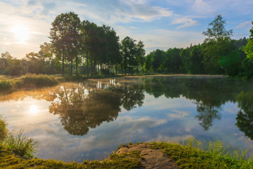 Fototapeta na wymiar bright sun and beautiful forest lake in summer