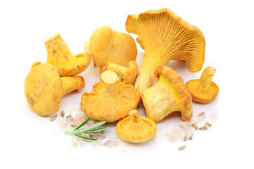 Pfifferlinge