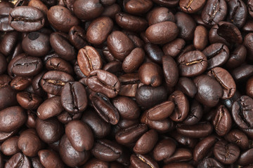 Roasted coffee seed for fresh coffee