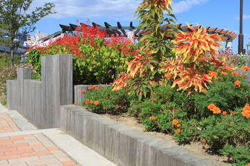 花壇