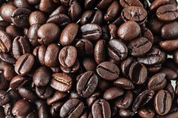 Roasted coffee seed for fresh coffee