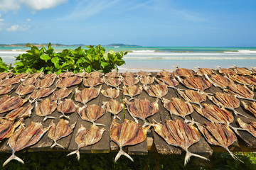 Dry fish