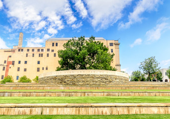 Fototapeta na wymiar Oak at the Oklahoma National Memorial