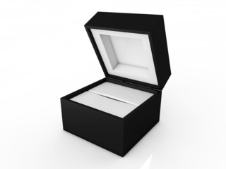 jewel box isolated on white background