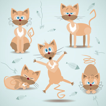 Vector illustration with set of ginger cats