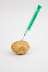 Kartoffel Nadel